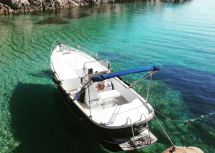 Wild Escape Island Bay Experience *