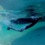 Wild Escape Island Bay Experience * Porto San Paolo (Sardinia)