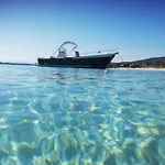 Wild Escape Island Bay Experience