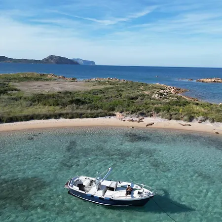 Wild Escape Island Bay Experience