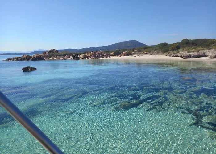 Wild Escape Island Bay Experience