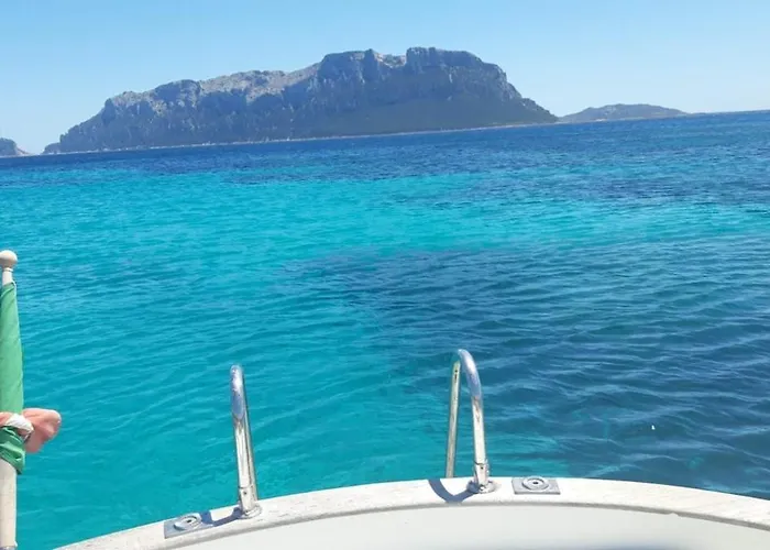 Wild Escape Island Bay Experience *