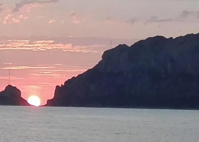 Wild Escape Island Bay Experience *