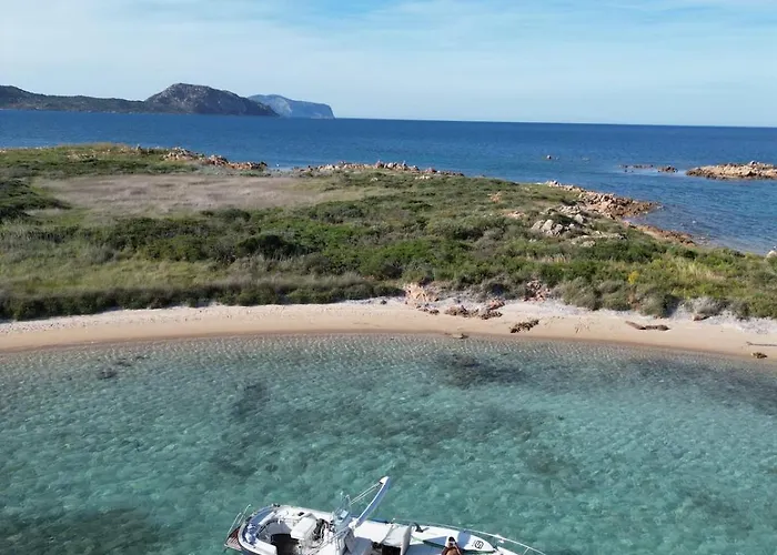Wild Escape Island Bay Experience